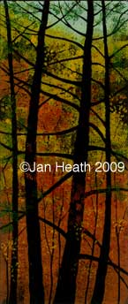 autumn woods