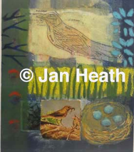 bird with nest
