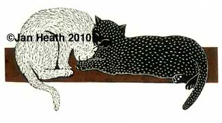 cats on a shelf