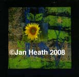 littlesunflower