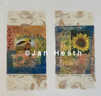 goldfinchandsunflower