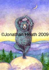 yoga bear